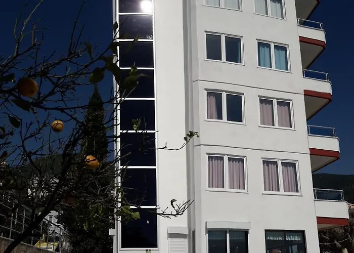 酒店 皇家酒店 阿拉尼亚